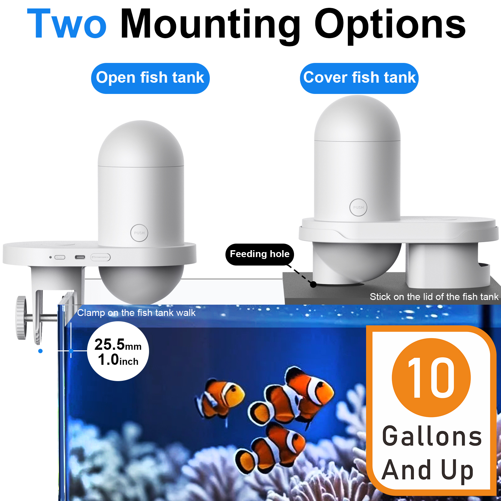 Automatic Fish Feeder With Cam - Fishing Line Dispenser avaliação e preço