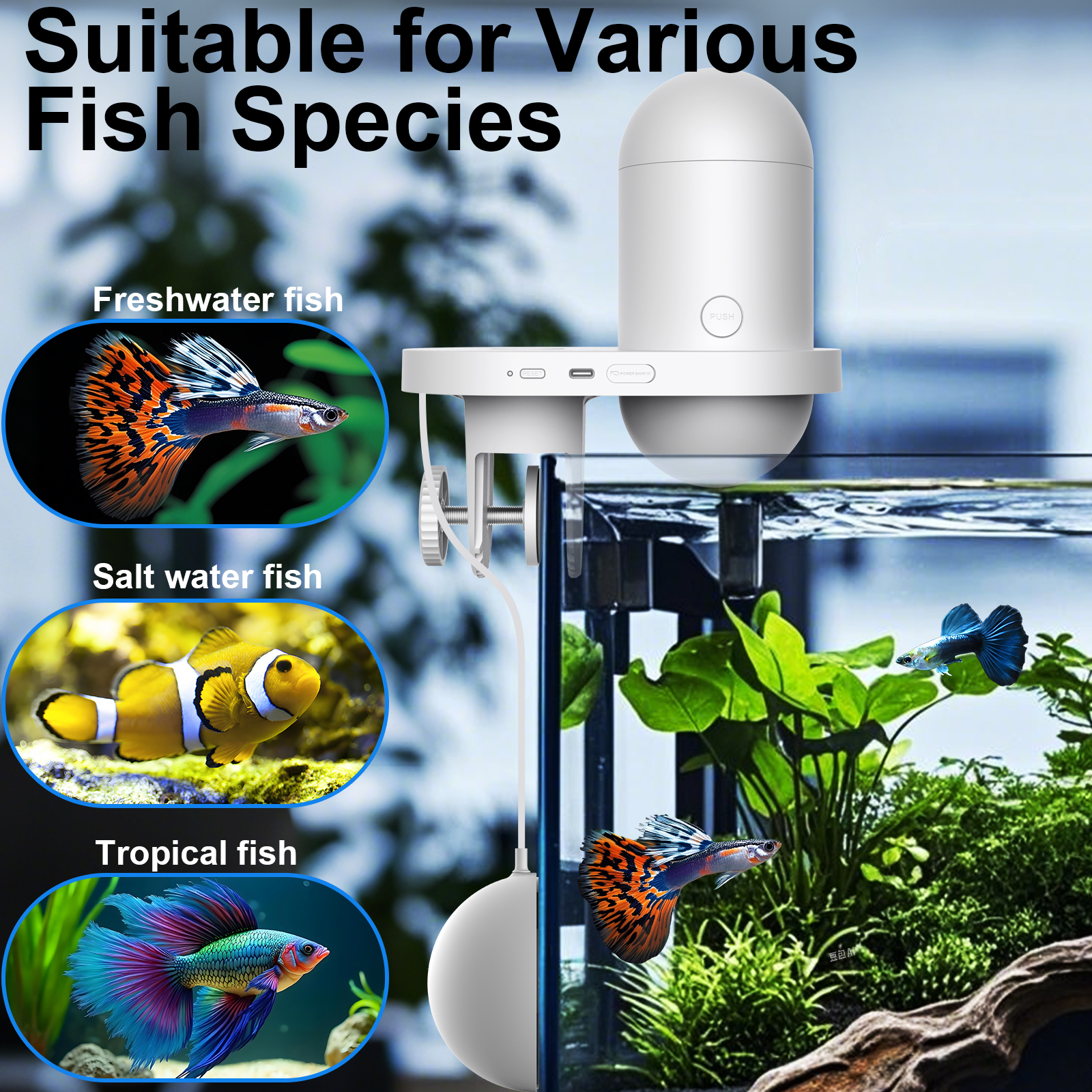 Automatic Fish Feeder With Cam - Fishing Line Dispenser avaliação e preço